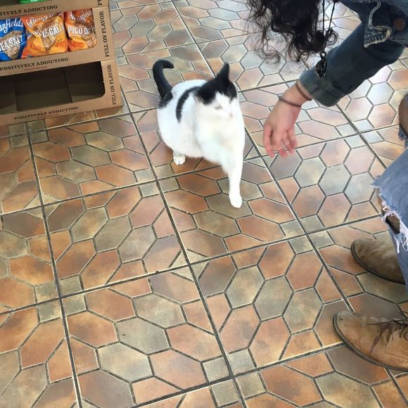 Meet your Posher, Anthony - Picture 1 of 1